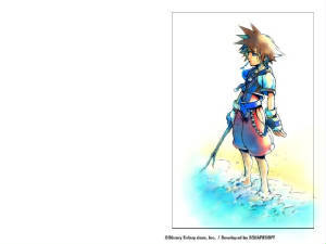 800x600_sora2.jpg